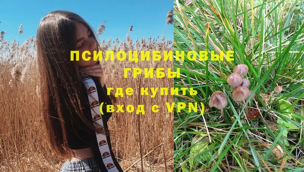 PSILOCYBIN Зерноград