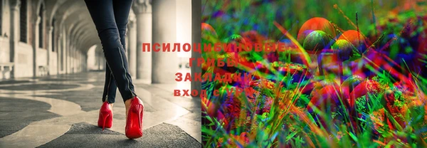 PSILOCYBIN Зерноград